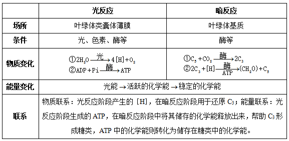 2020年安徽教师招聘面试：《光合作用的过程》 答辩